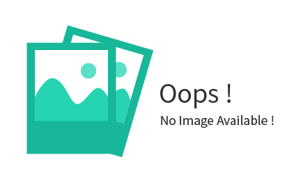 Common Rail Shumatt diesel injector nozzle PDF